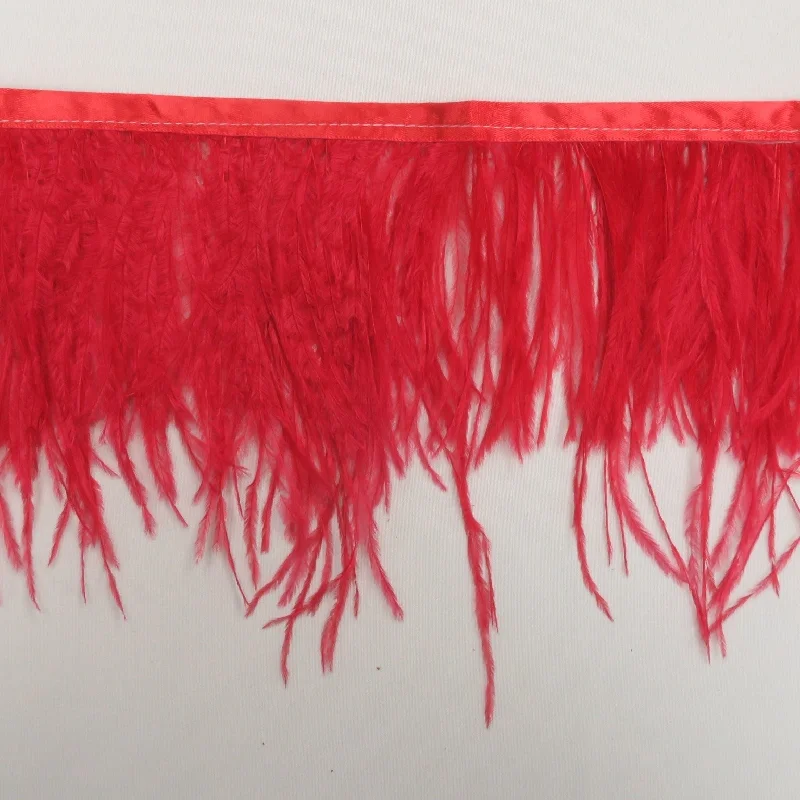 Red Ostrich Feather Trim 2 PLY Velvet unclassified dresses